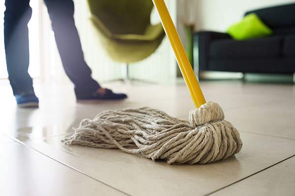 Expert Janitorial Services